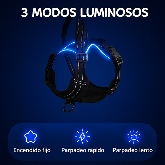 Arnés LED NightVision✨