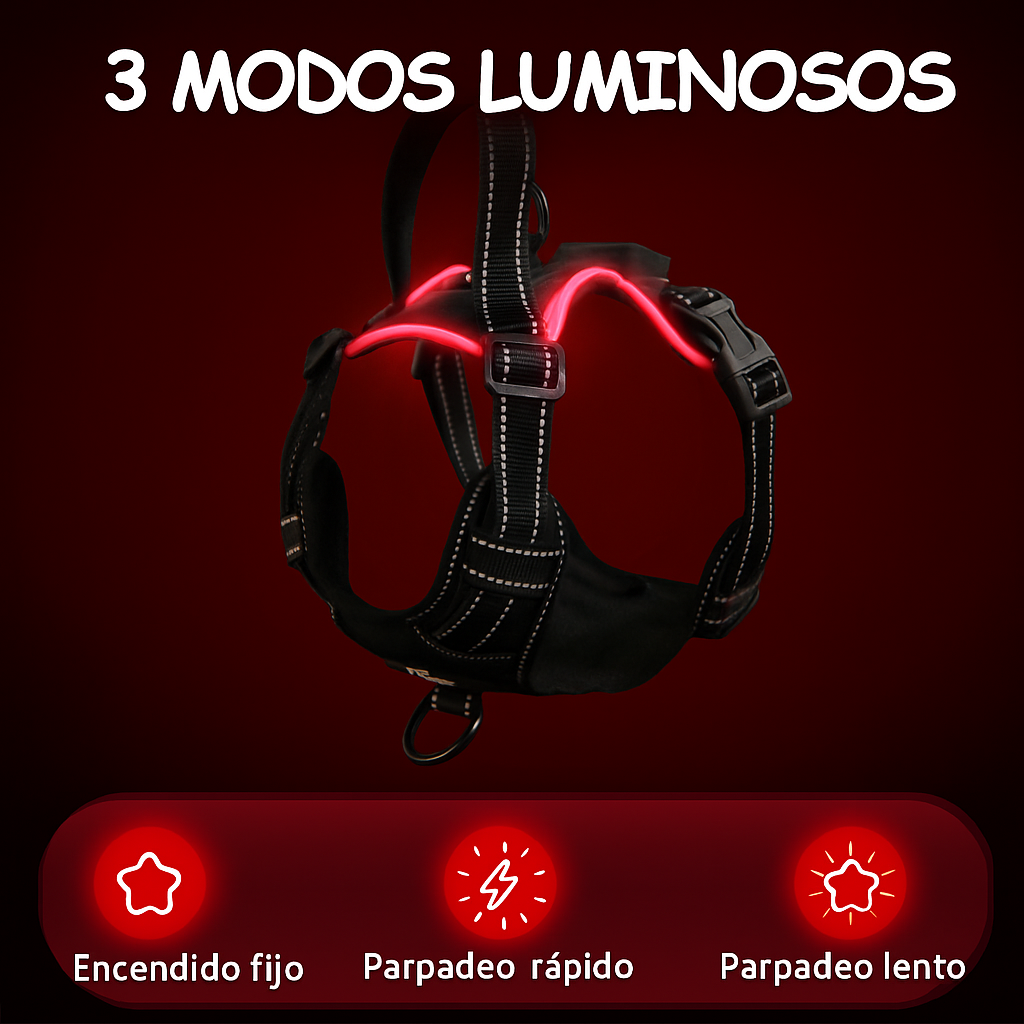 Arnés LED NightVision✨