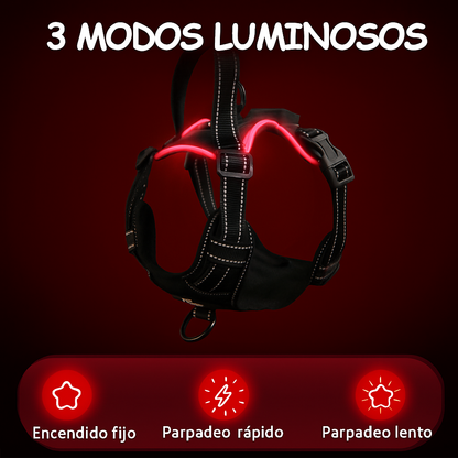 Arnés LED NightVision✨