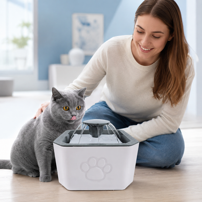 HydroPet 2.5L 🌀💧