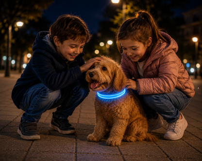 Collar LED NightFlow 🌌✨