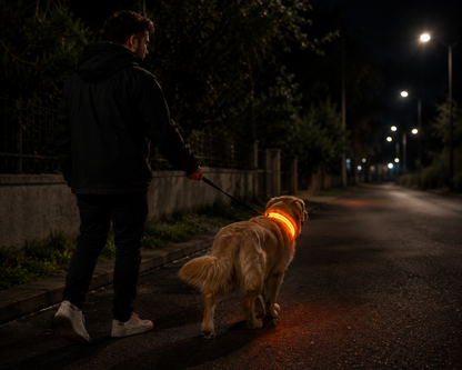 Collar LED NightFlow 🌌✨