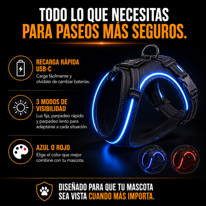 NightVision™ | Protección En Cada Paseo