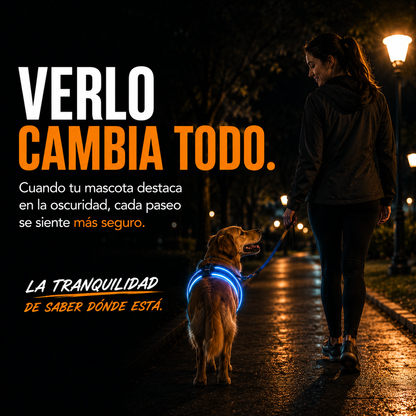 NightVision™ | Protección En Cada Paseo